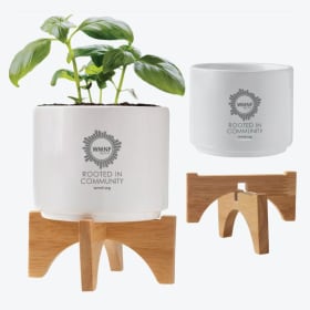 4-inch Ceramic Planter item