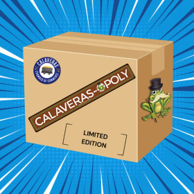 BULK Calaveras-opoly item