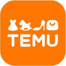 Temu Haul Basket item