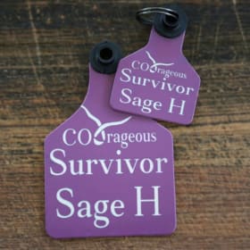 💜 COOrageous Survivor item