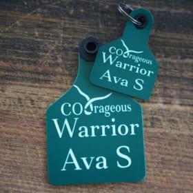 💚 COOrageous Warrior item