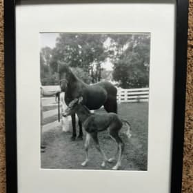 Photo of Lippitt Gladys Moro & Lippitt Moro Alert 1954 item