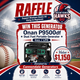 Portable Generator item