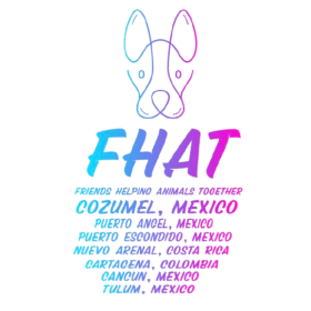 FHAT Global Clinic Commemorative Tank (Unisex) item
