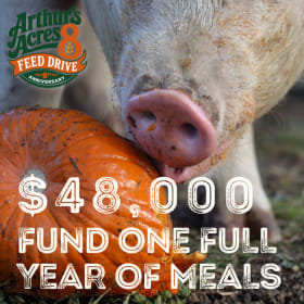 Fund One Full Year of Meals item