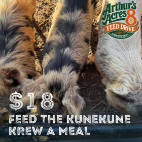 Feed the Kunekune Krew a Meal item