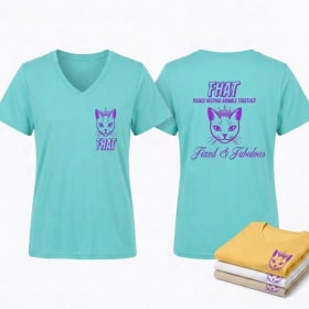 Fixed & Fabulous - V Neck Tee (Women) item