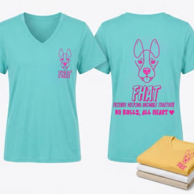 No Balls, All Heart - V-Neck Tee (Women) item