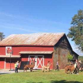 Farm Tour at Clover Brooke Farm for 4 People item