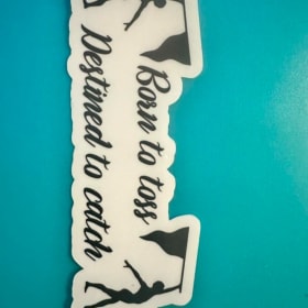 Photo of Vinyl Cling
