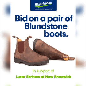 Blundstone Boots (Unisex) item