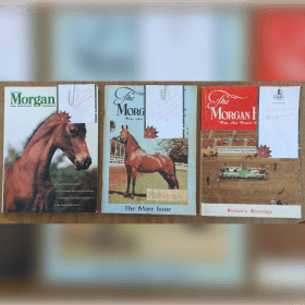 Morgan Magazines featuring Lippitts item