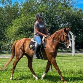 Two Private Horseback Riding Lessons! item