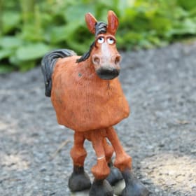 Photo of Little Horse, Big Personality