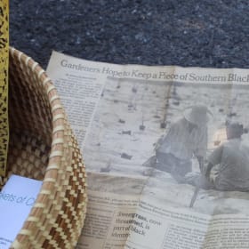 Photo of Handwoven Sweetgrass Basket Collection
