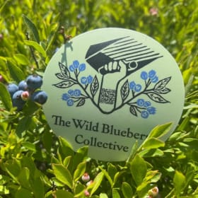 3.5” Sticker item