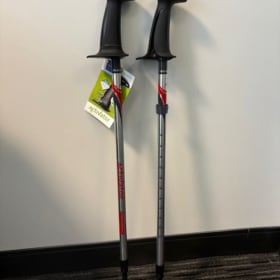 Walking Poles item