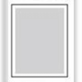 Full Page item