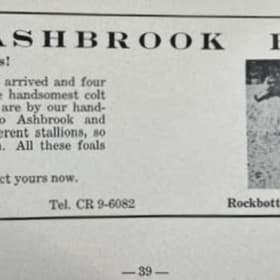 1965 National Morgan Horse Show Program item