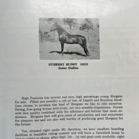1964 National Morgan Horse Show Program item