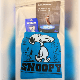 Chewy Gift Bundle – $40 Gift Card & Dog Splash Pad item