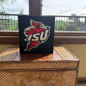 Let's Go Vintage Cyclones!! item