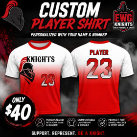 Custom Player Shirt item