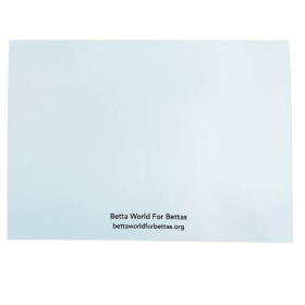 "Valentino" 5"x7" Greeting Card with Envelope item