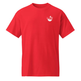 T-shirt item