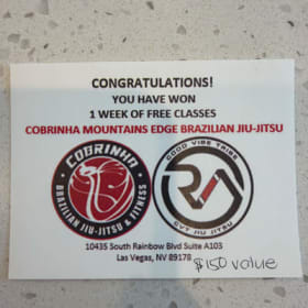 COBRINHA BRAZILIAN JIU-JITSU (Copy) item