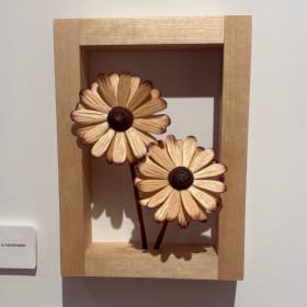 Maple Daisies by Adam McNamara item