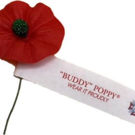 Photo of Buddy Poppy (Traditional)