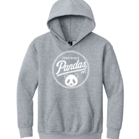 Youth Hooded Sweatshirt item