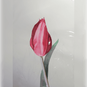 Tulip item