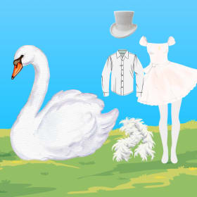 Photo of Swan Costume