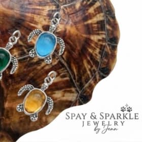 Turtle Charm item
