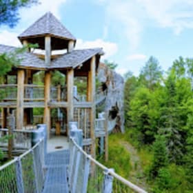 The Wild Center 4 Admission Tickets item