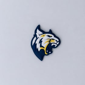 Wildcat item