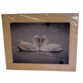 075 -Photograph of Pair of Swans on Water item