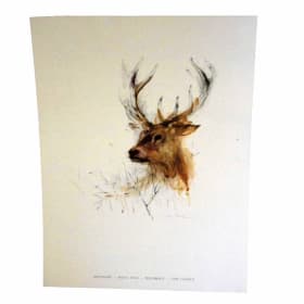 083 -Colour Print of Royal Stag item