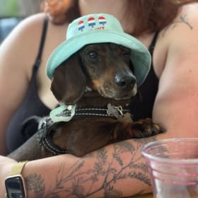Frankie item