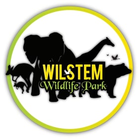 Wilstem-4 tickets item