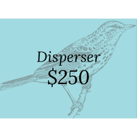 Disperser item