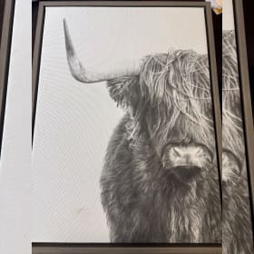 Photo of Framed Scottish Highland Cattle