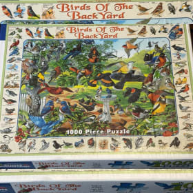 Photo of Backyard Birds Puzzle