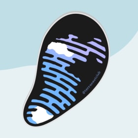 Mussel Shell Magnet item