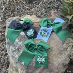 Solid Green Bow item