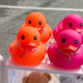 Photo of I Love Flags Big Duck