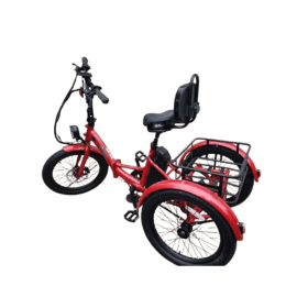 Ollie Electric Trike Adventure item