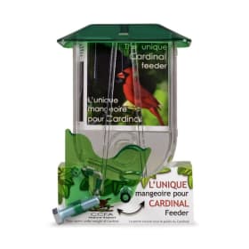 Mangeoire à Cardinal - Nature Expert item